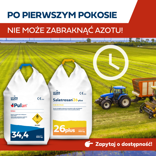 Pierwsze 48 godzin po pokosie decyduje o szybkości odrostu i wysokości drugiego pokosu.  Dlaczego warto działać szybko?  szybszy odrost – łatwo dostępny azot to błyskawiczna odbudowa liści   ochrona wilgoci – szybkie zakrycie gleby ogranicza parowanie wody   wyższy plon – sprawne nawożenie buduje potencjał kolejnego zbioru  Nie czekaj! Zabezpiecz swoje użytki zielone sprawdzonymi nawozami Pulan i Saletrosan 26 plus.   Zapytaj o dostępność!